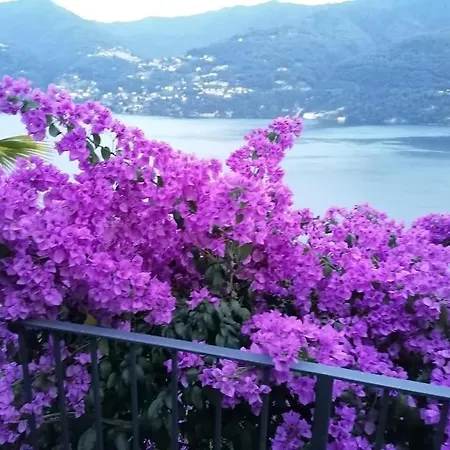 Simo House Stunning View Balcony Ac Carate Urio